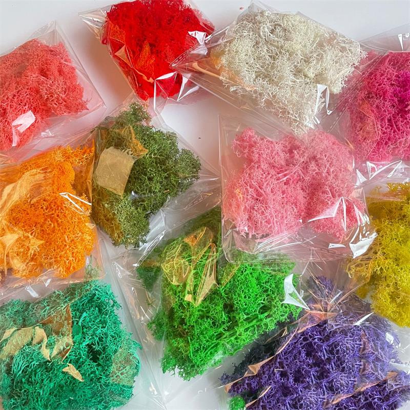 Preserved Moss Sheet - 20-200g Yapay Yeşil Bitkiler Polyester Yosun