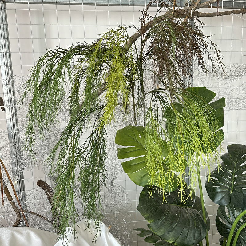 Preserved Moss Sheet - Uzun şube söğüt filiz simülasyon bitki,