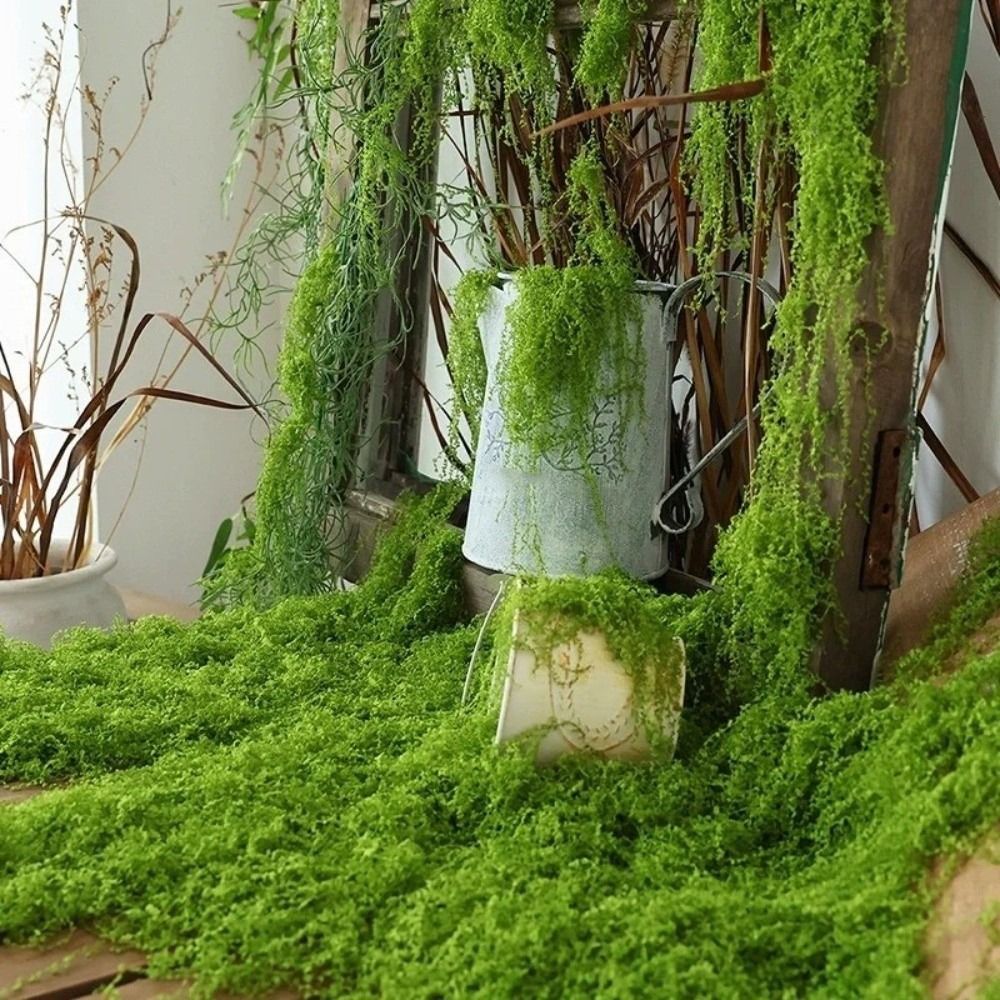 Preserved Moss Sheet - Kendin Yap Yapay Çim Halı Dayanıklı