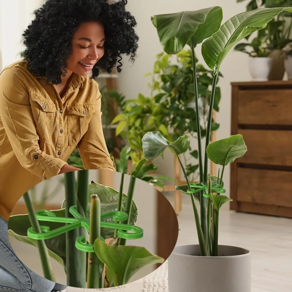 Çiçek Bitki Kök Destek Kazıkla - Florist Supply Bulk incelemesi ve fiyatı