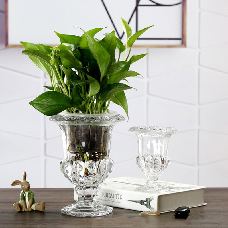 Temizle cam çiçek vazo kök bit - Florist Supply Bulk incelemesi ve fiyatı