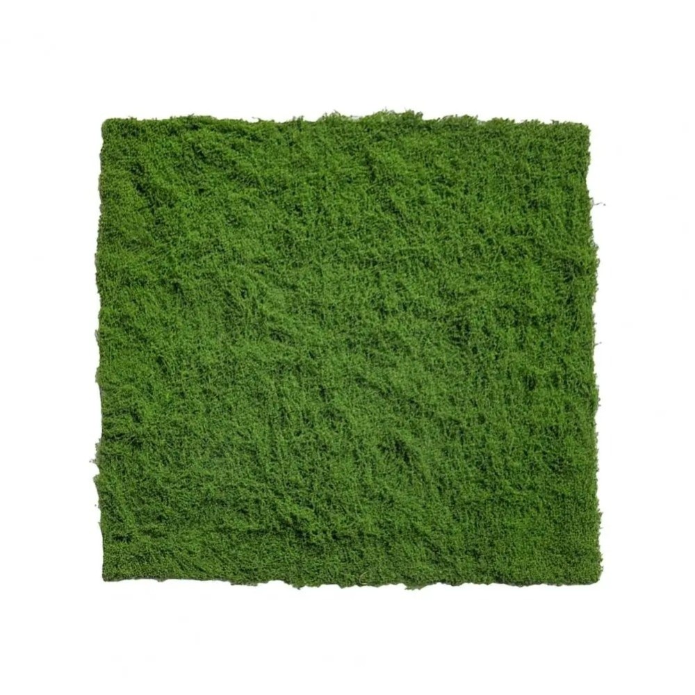 Kendin Yap Yapay Çim Halı Daya - Preserved Moss Sheet incelemesi ve fiyatı