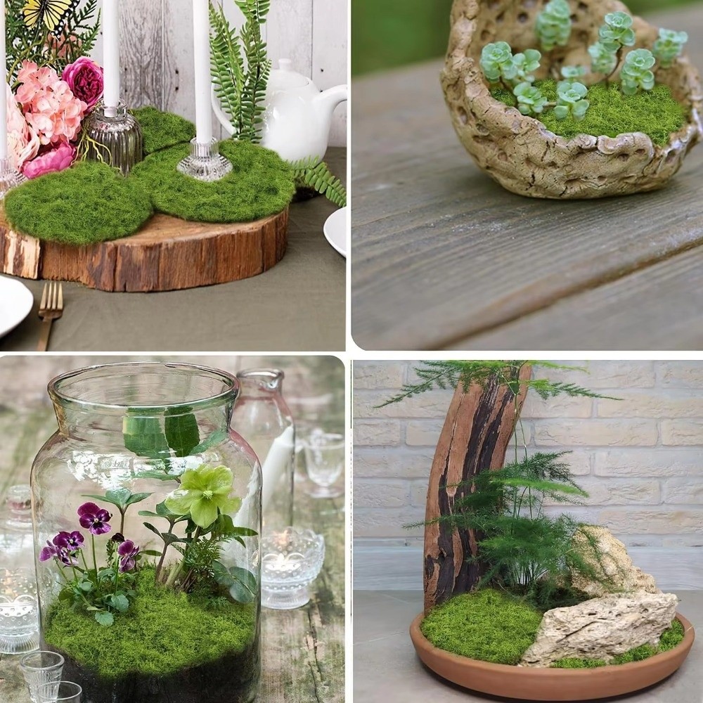 Kendin Yap Yapay Çim Halı Daya - Preserved Moss Sheet incelemesi ve fiyatı