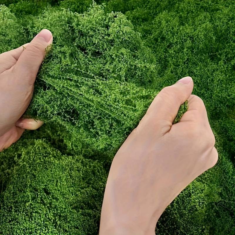 20' X 20' Bitkiler İçin Yapay  - Preserved Moss Sheet incelemesi ve fiyatı