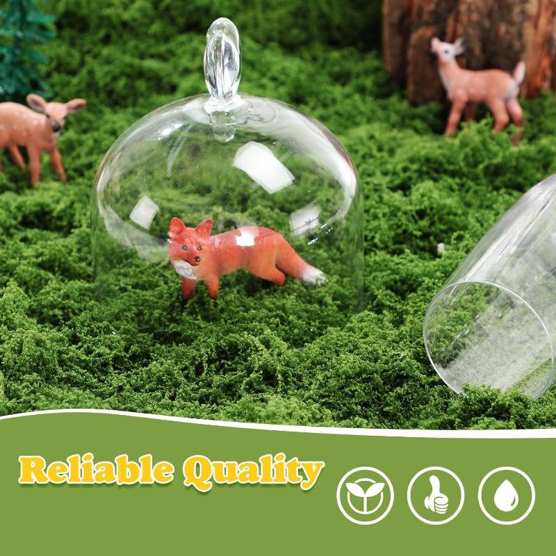20' X 20' Bitkiler İçin Yapay  - Preserved Moss Sheet incelemesi ve fiyatı
