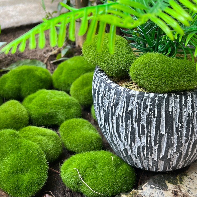 100/5 adet yapay yosun kaya sa - Preserved Moss Sheet incelemesi ve fiyatı