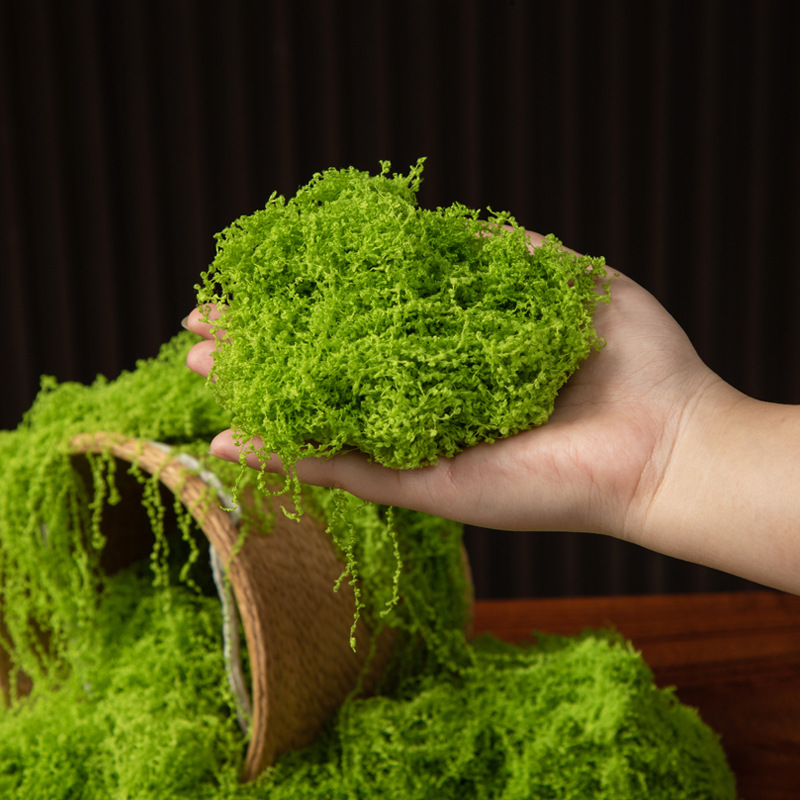 200g Ebedi Yaşam Yosun DIY El  - Preserved Moss Sheet incelemesi ve fiyatı