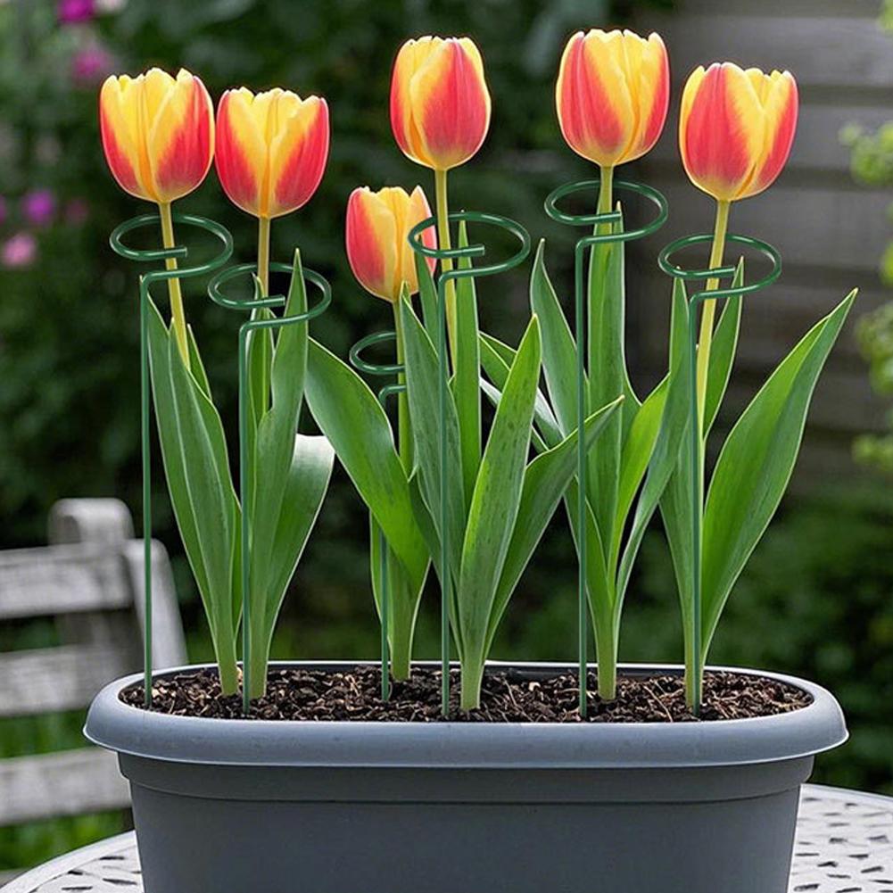 Metal bitki destek çubukları b - Florist Supply Bulk incelemesi ve fiyatı