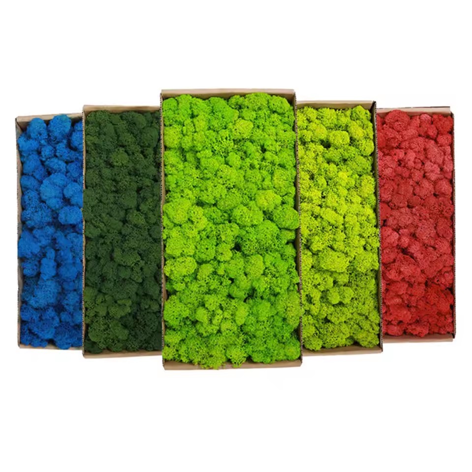 20-200g Yapay Yeşil Bitkiler P - Preserved Moss Sheet incelemesi ve fiyatı