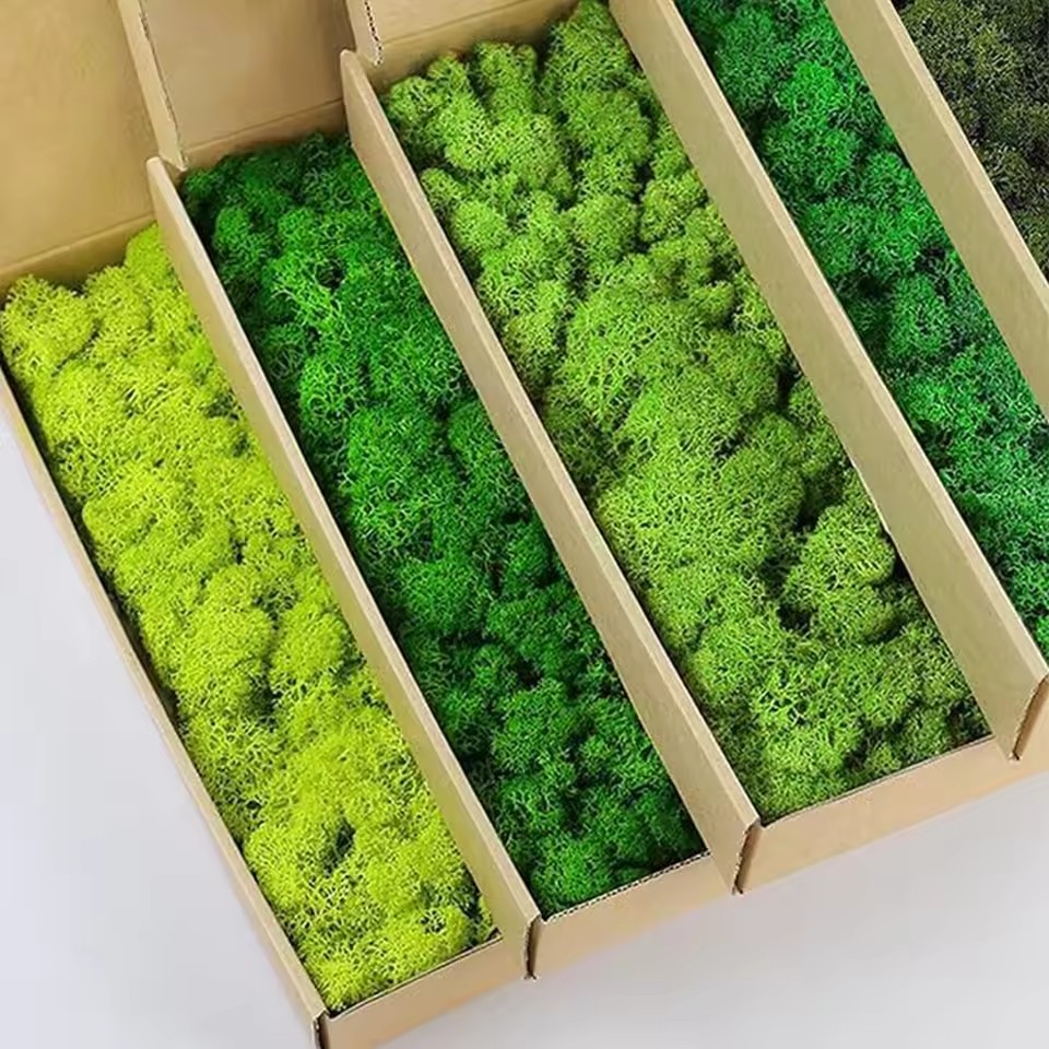 20-200g Yapay Yeşil Bitkiler P - Preserved Moss Sheet incelemesi ve fiyatı