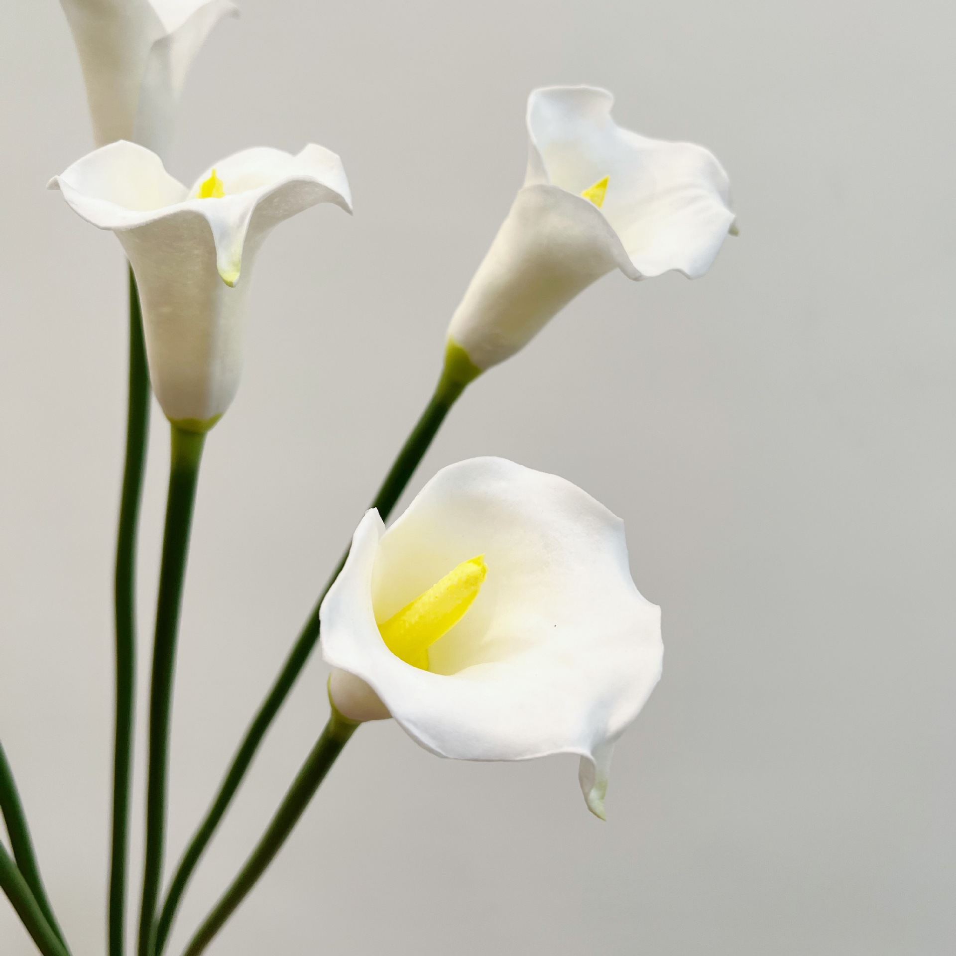 26 inç Tek Saplı Hilal Şeklind - Florist Supply Bulk incelemesi ve fiyatı