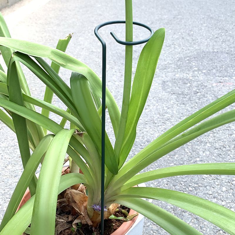 1-10 adet Metal Tek Kök Bitki  - Florist Supply Bulk incelemesi ve fiyatı
