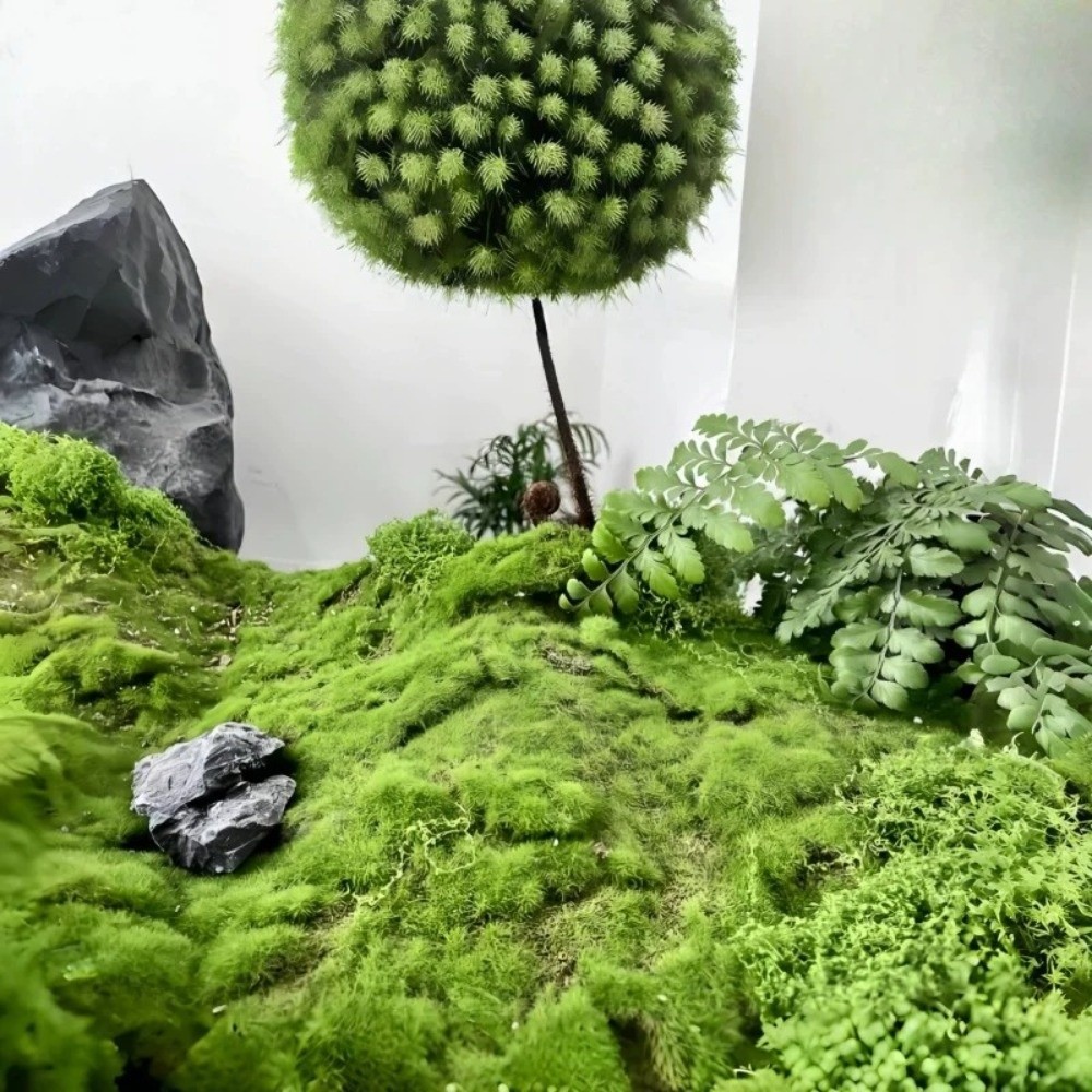 Kendin Yap Yapay Çim Halı Daya - Preserved Moss Sheet incelemesi ve fiyatı