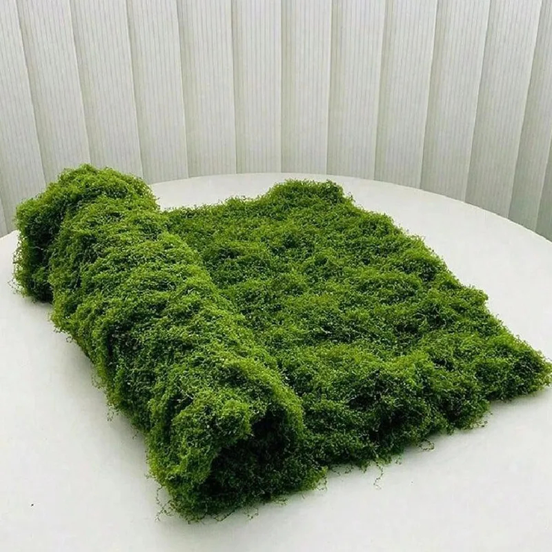 Mikro peyzaj dekorasyonu, çim  - Preserved Moss Sheet incelemesi ve fiyatı